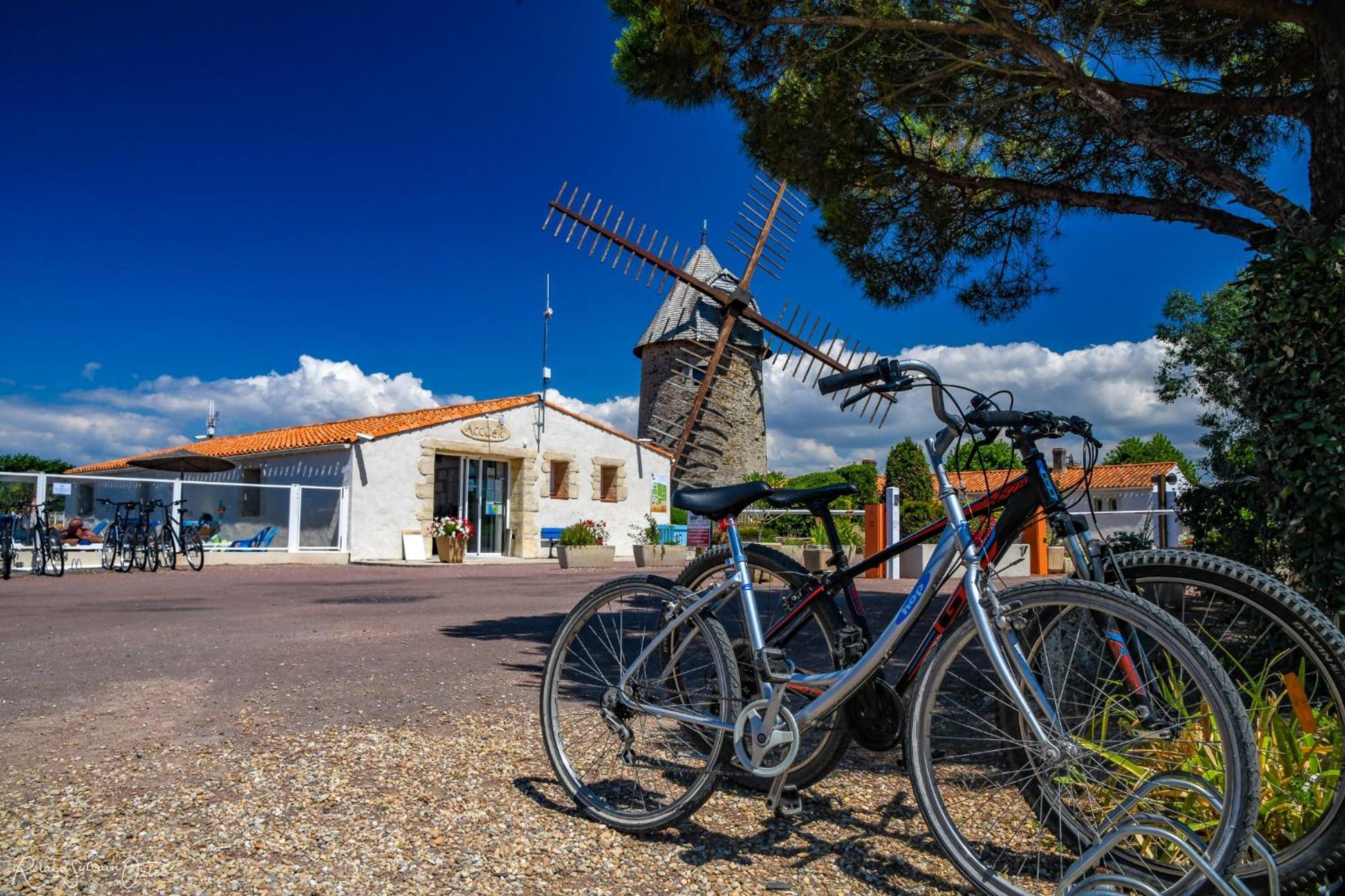 Camping Le Moulin De La Salle Les Sables-dʼOlonne Exteriér fotografie